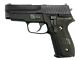 WE F228 (Non Rail) Gas Blowback Pistol (WE-71033)